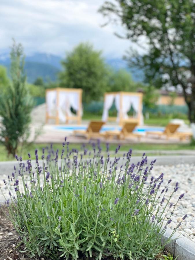 Вилла Epic House Valea Avrigului Экстерьер фото