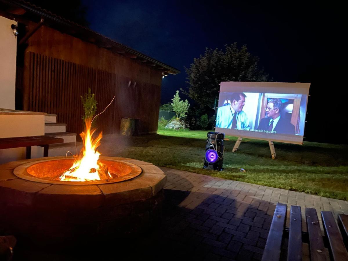 Вилла Epic House Valea Avrigului Экстерьер фото