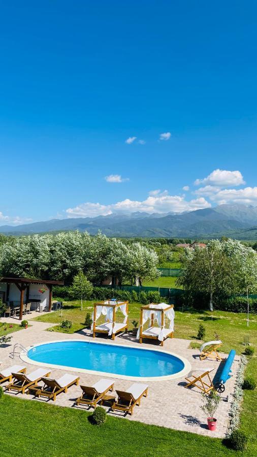 Вилла Epic House Valea Avrigului Экстерьер фото