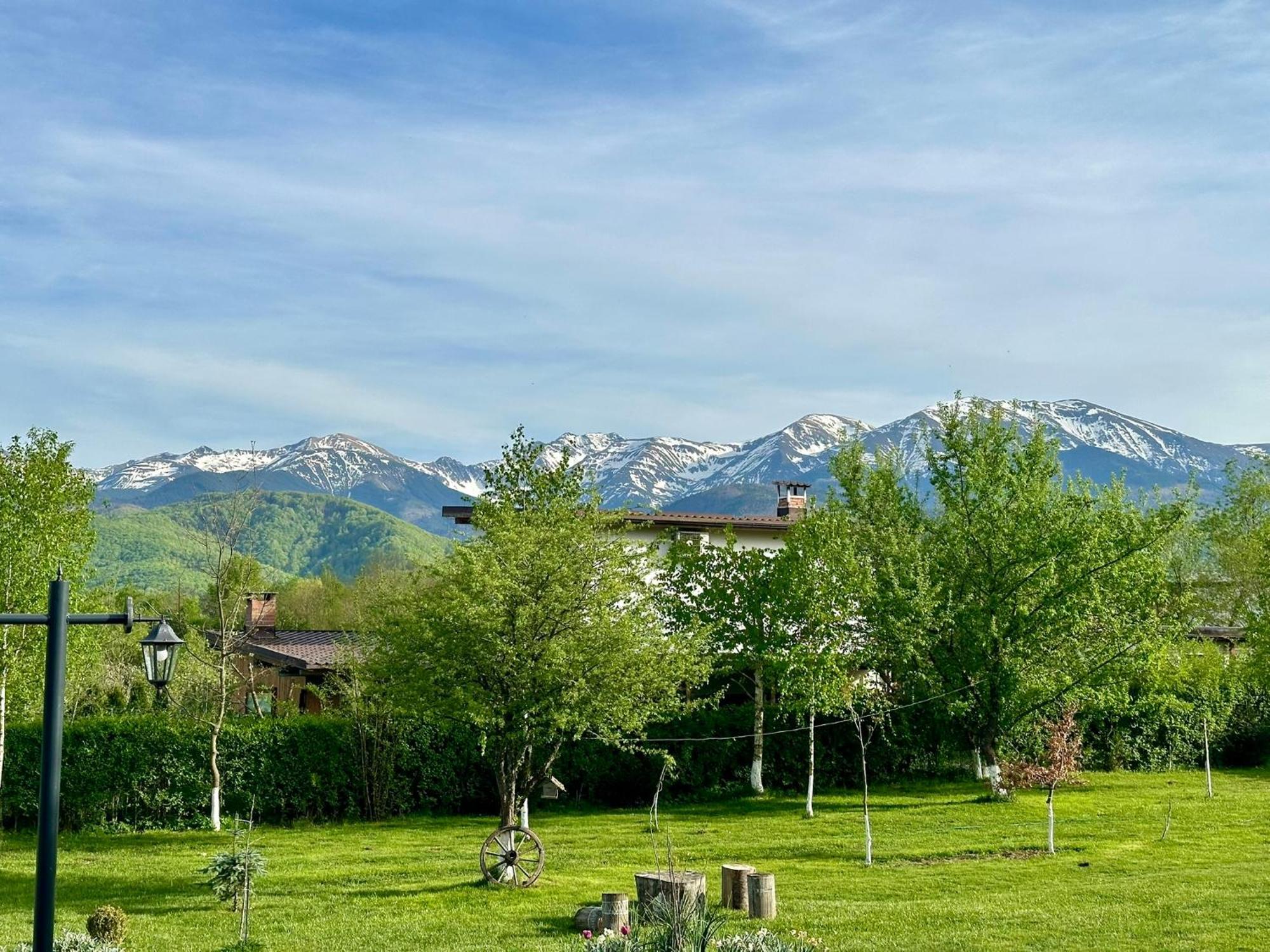 Вилла Epic House Valea Avrigului Экстерьер фото