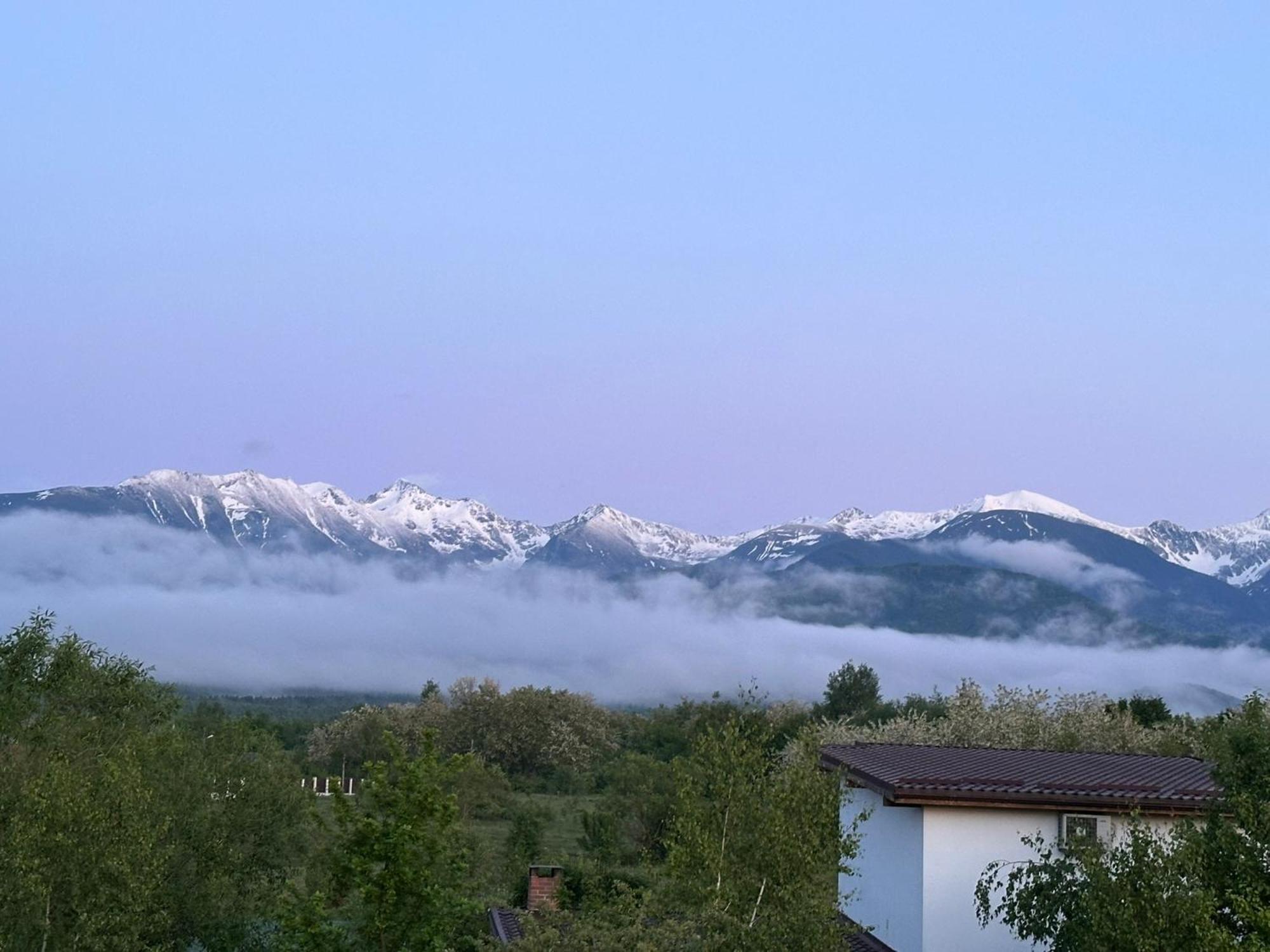 Вилла Epic House Valea Avrigului Экстерьер фото